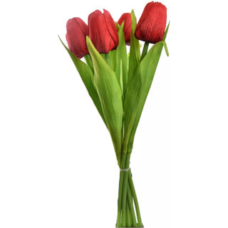No brand tulp boeket 7 stuks 35 cm red