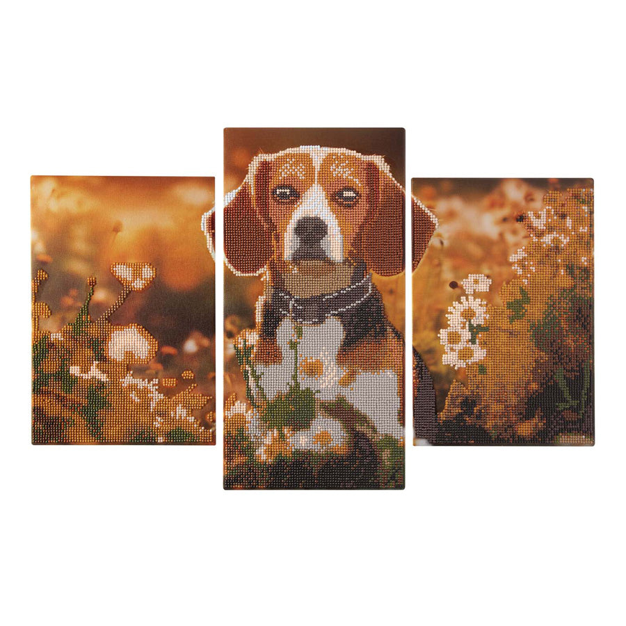 Creative craft group diamond painting drieluik set - hond