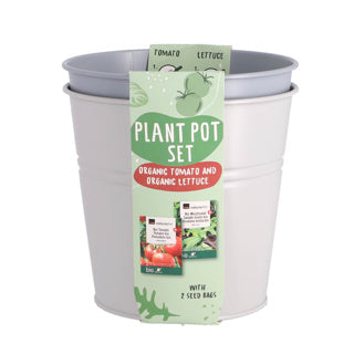Overige merken kweekset emmer bio tomaten en sla 17cm metaal
