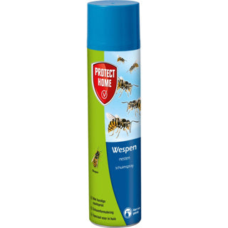 Geen merkbescherming thuis wespen schuimspray 400ml