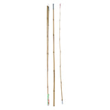 Hengel bamboe 200 cm