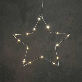 Edelman ster zilver warm wit 20led battery operated d45cm