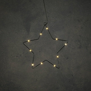 Edelman ster zwart warm wit 10led battery operated - d25cm