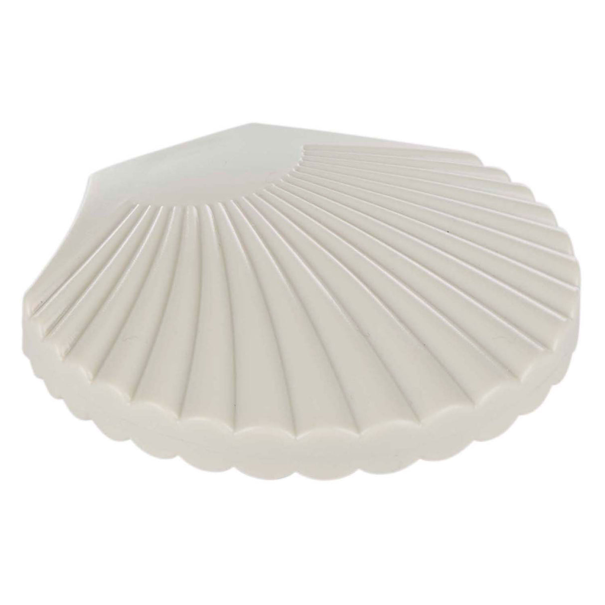 Spiegeltje schelp