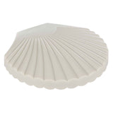 Spiegeltje schelp