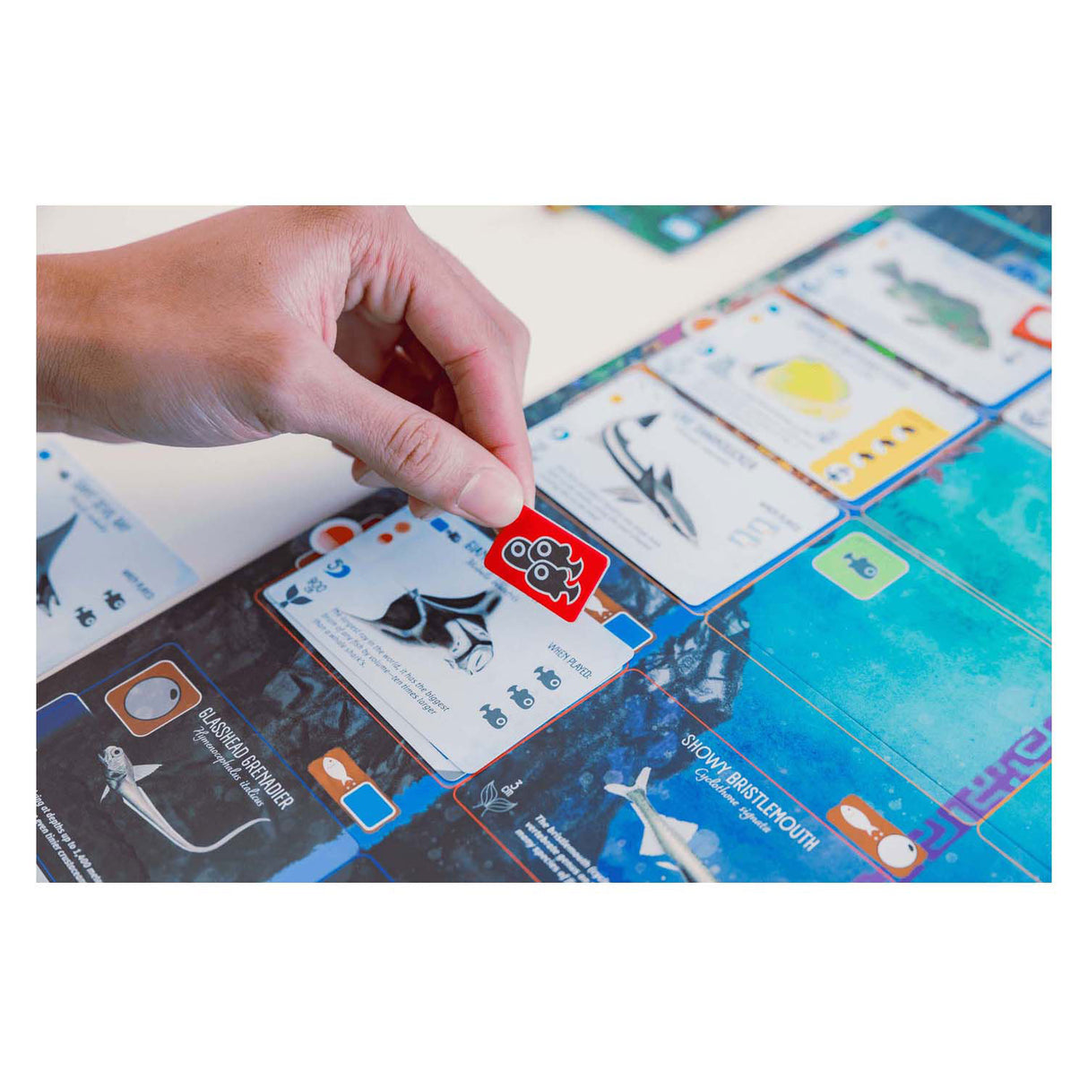 999games 999 games finspan bordspel