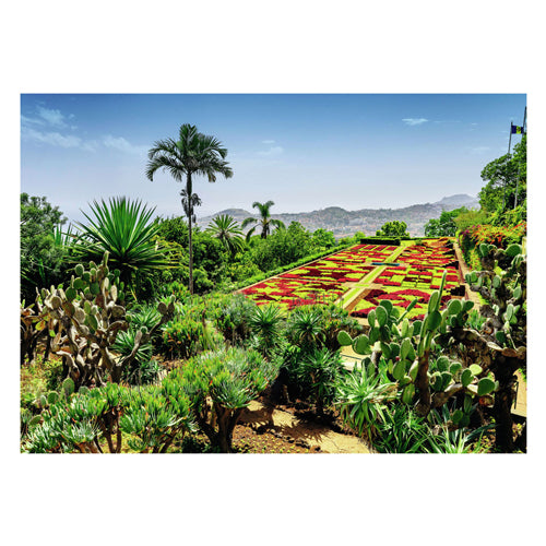 Ravensburger legpuzzel botanical garden, madeira, 1000st.