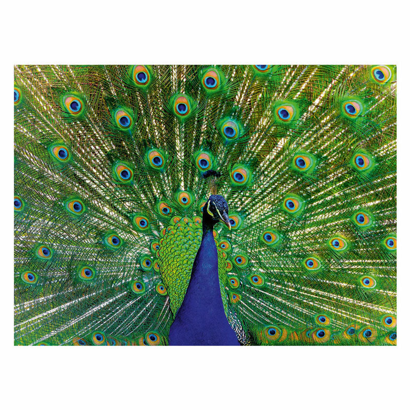 Ravensburger legpuzzel colorful animals pauw, 500st.