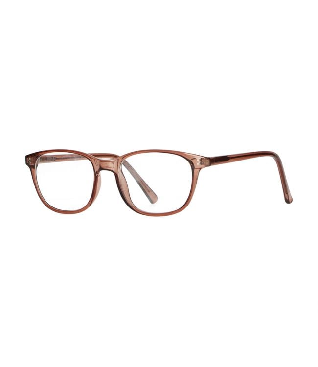 Spectrum leesbril transparant bruin 2.00