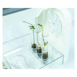Clementoni wetenschap plantenkas met temperatuur meter