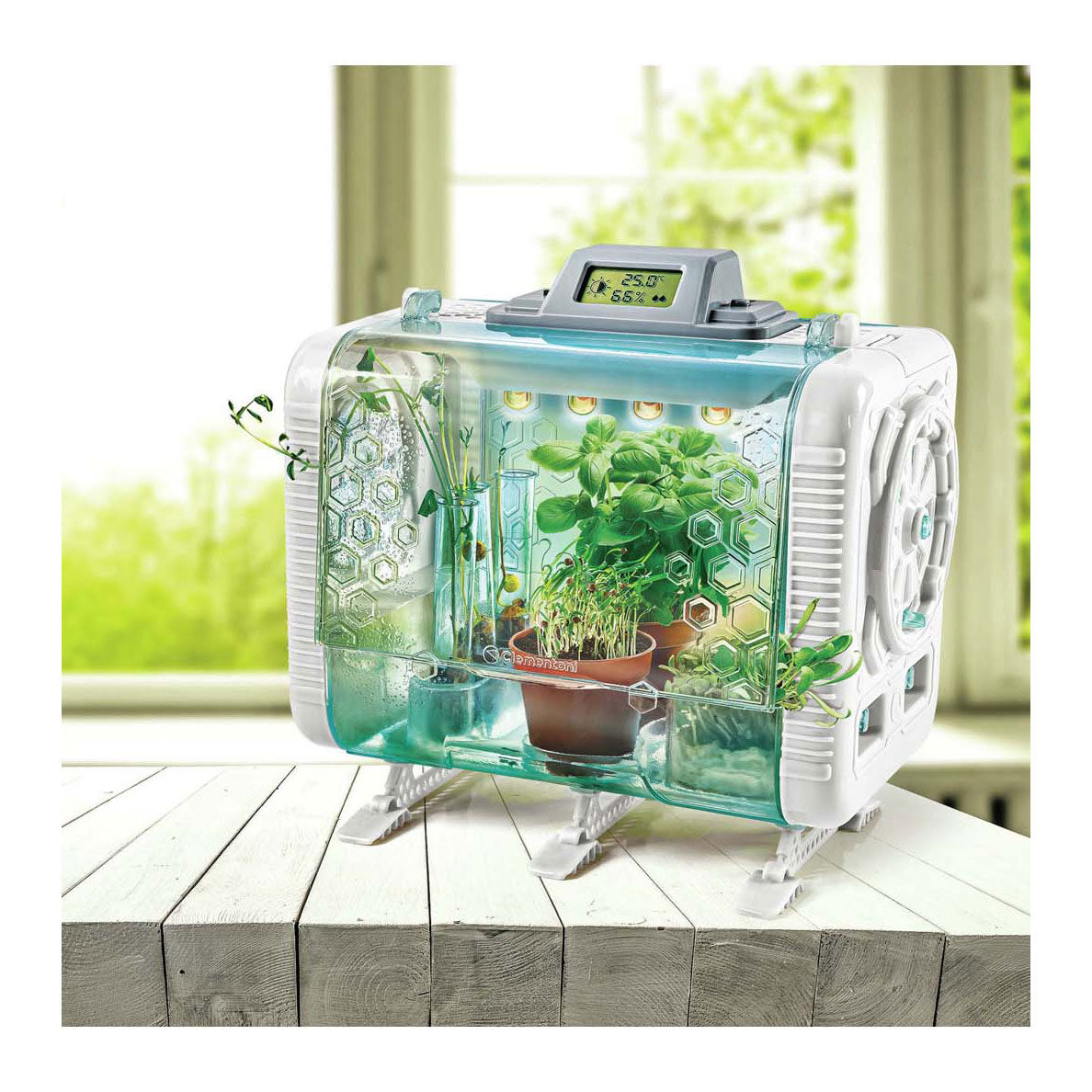 Clementoni wetenschap plantenkas met temperatuur meter