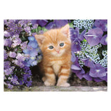 Clementoni clemetoni legpuzzel ginger cat, 500st.