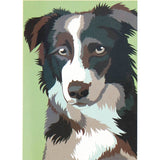 Nassau schilderen op nummer hond