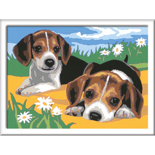 Ravensburger creart schilderen op nummer beagle puppies