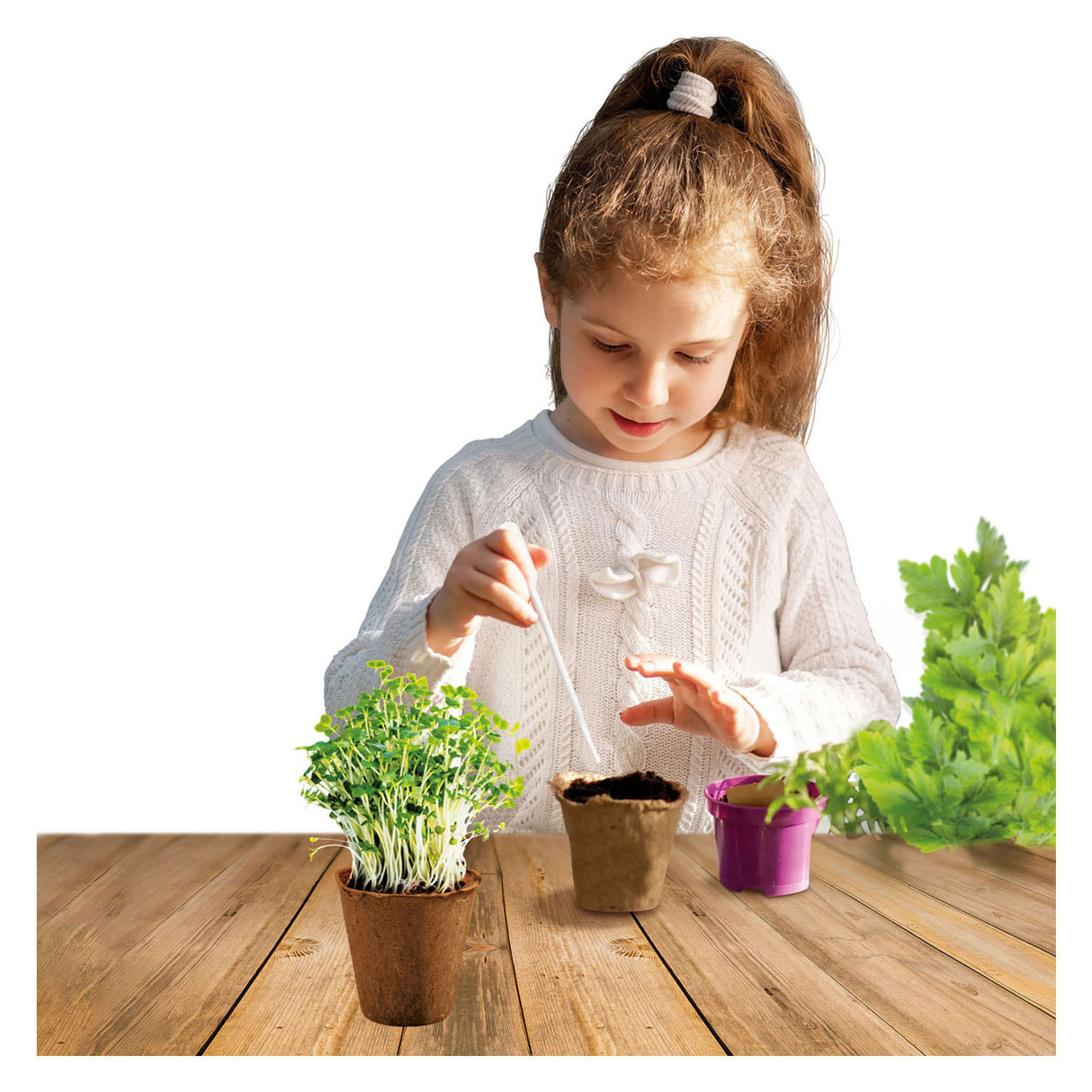 Kidscovery wetenschap kruidentuin