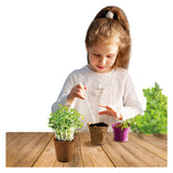 Kidscovery wetenschap kruidentuin
