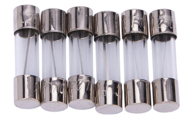 Dresselhaus glazen zekering glass fuses 5x20mm for car radio 10a 6 piece