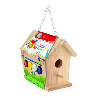 Creative craft group vogelhuisje maken hout set compleet
