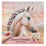 Creatieve knutselgroep diamant schilderij op canvas paardencollectie 30x30 cm