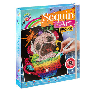 Sequin art 20 x 25 cm 12 kleuren 2 assorti