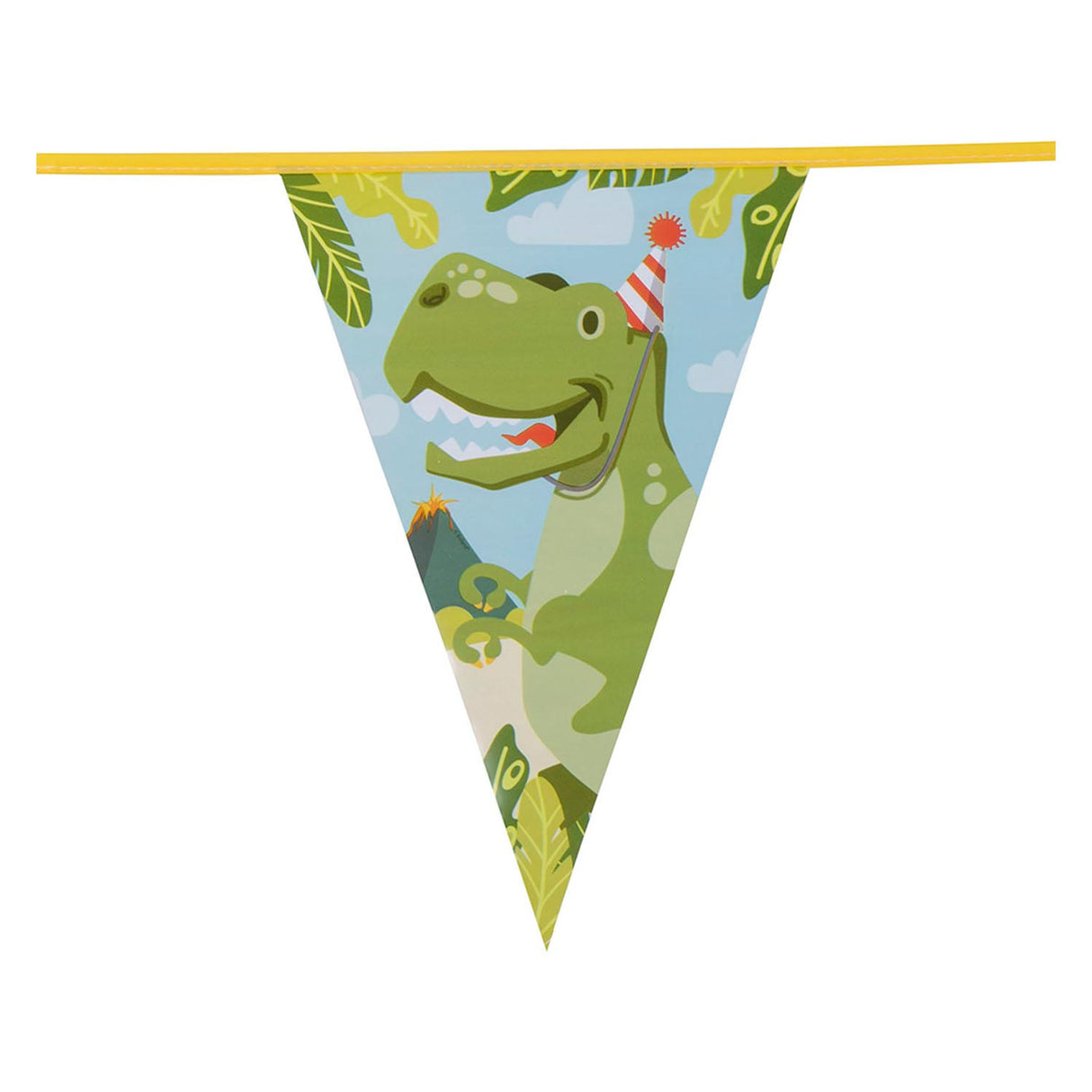 Boland vlaggenlijn dino party, 6mtr.