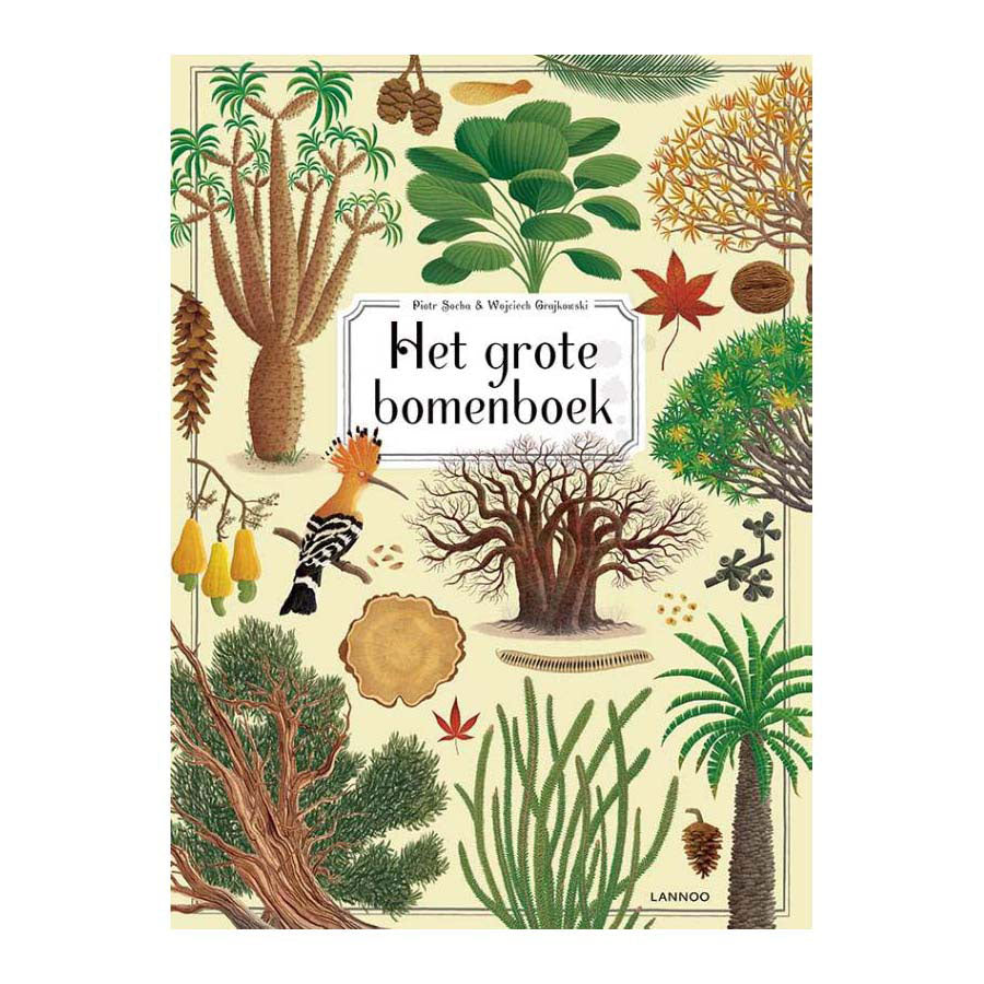 Mondikaarten het grote bomenboek