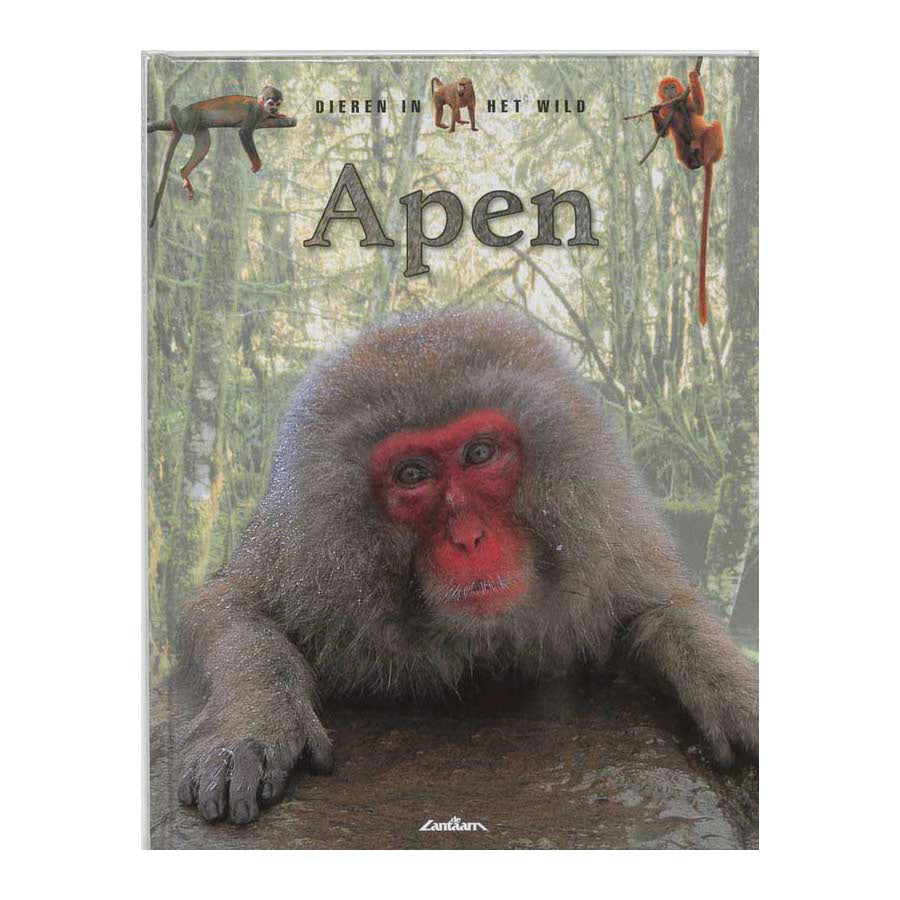 Lantaarn publishers dieren in het wild - apen