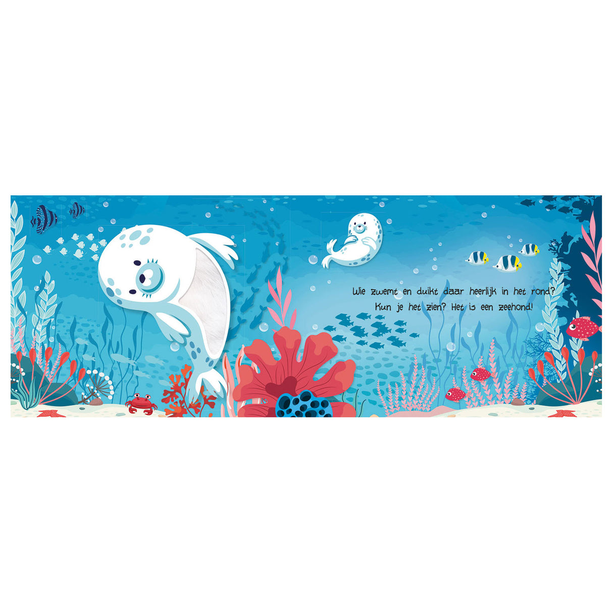 Lantaarn publishers kijk en voel - dieren onder water