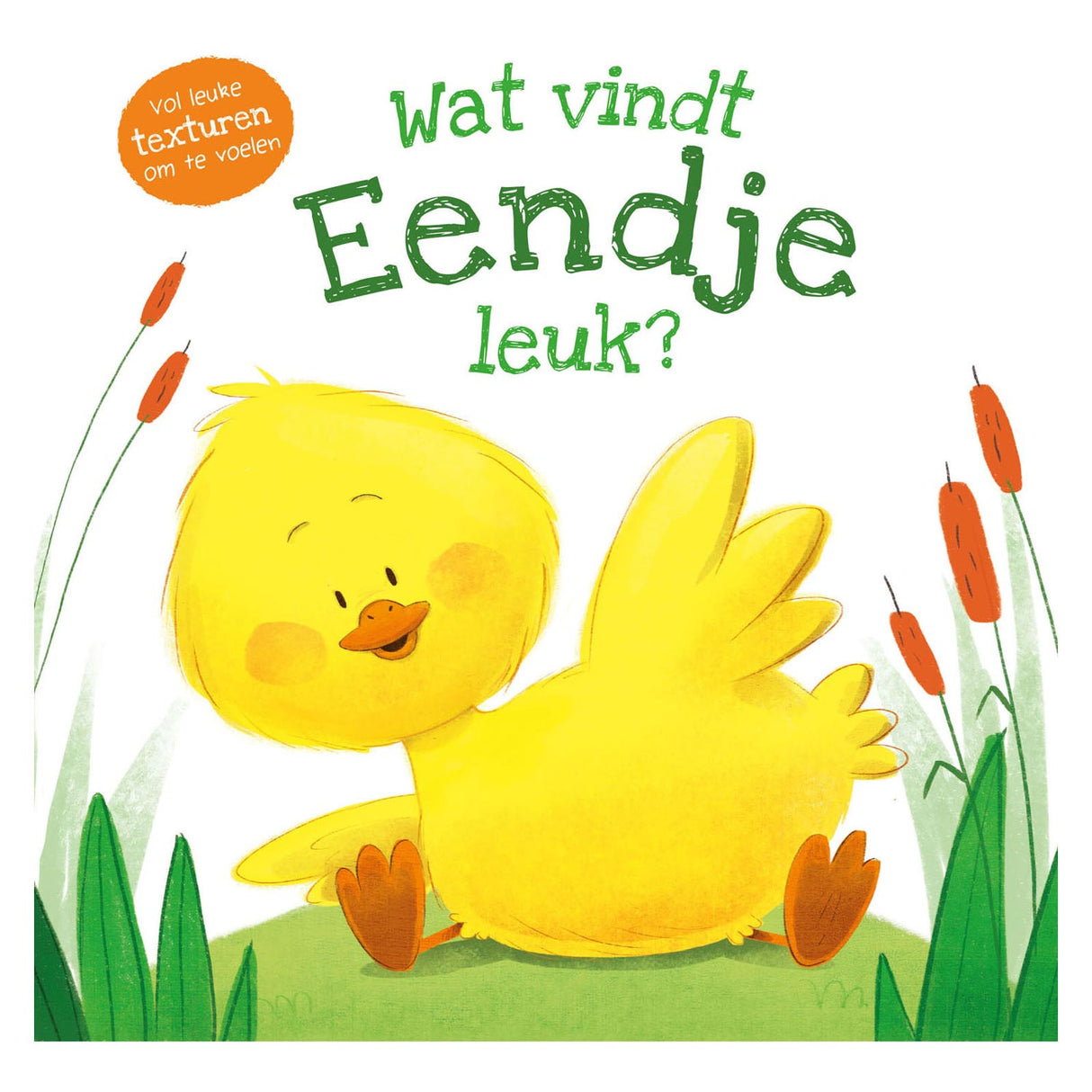 Rebo publishers voelboek - wat vindt eendje leuk?