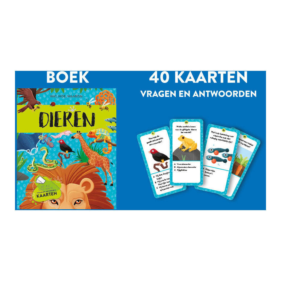 Rebo publishers dieren - feit- en speelset