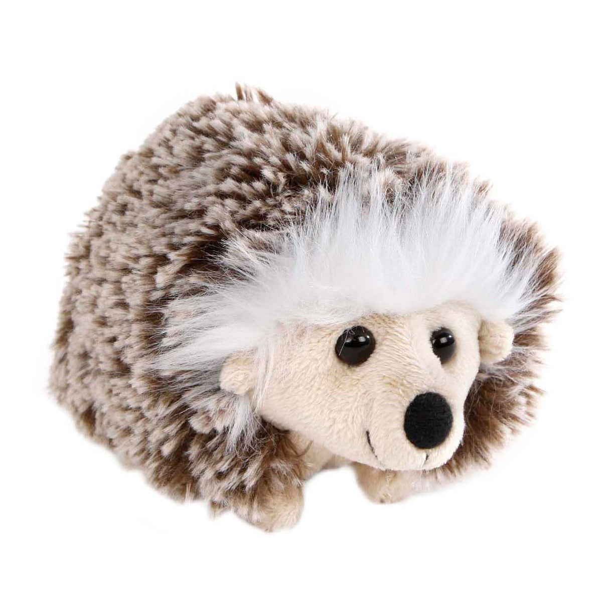 Take me home egel knuffel pluche staand, 16cm
