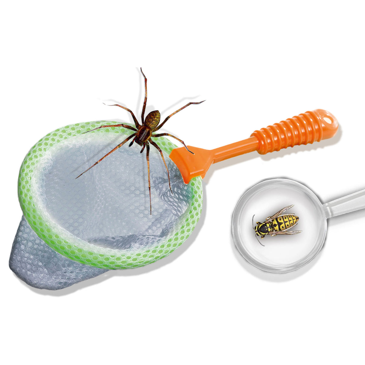 Ses explore - insecten explorer