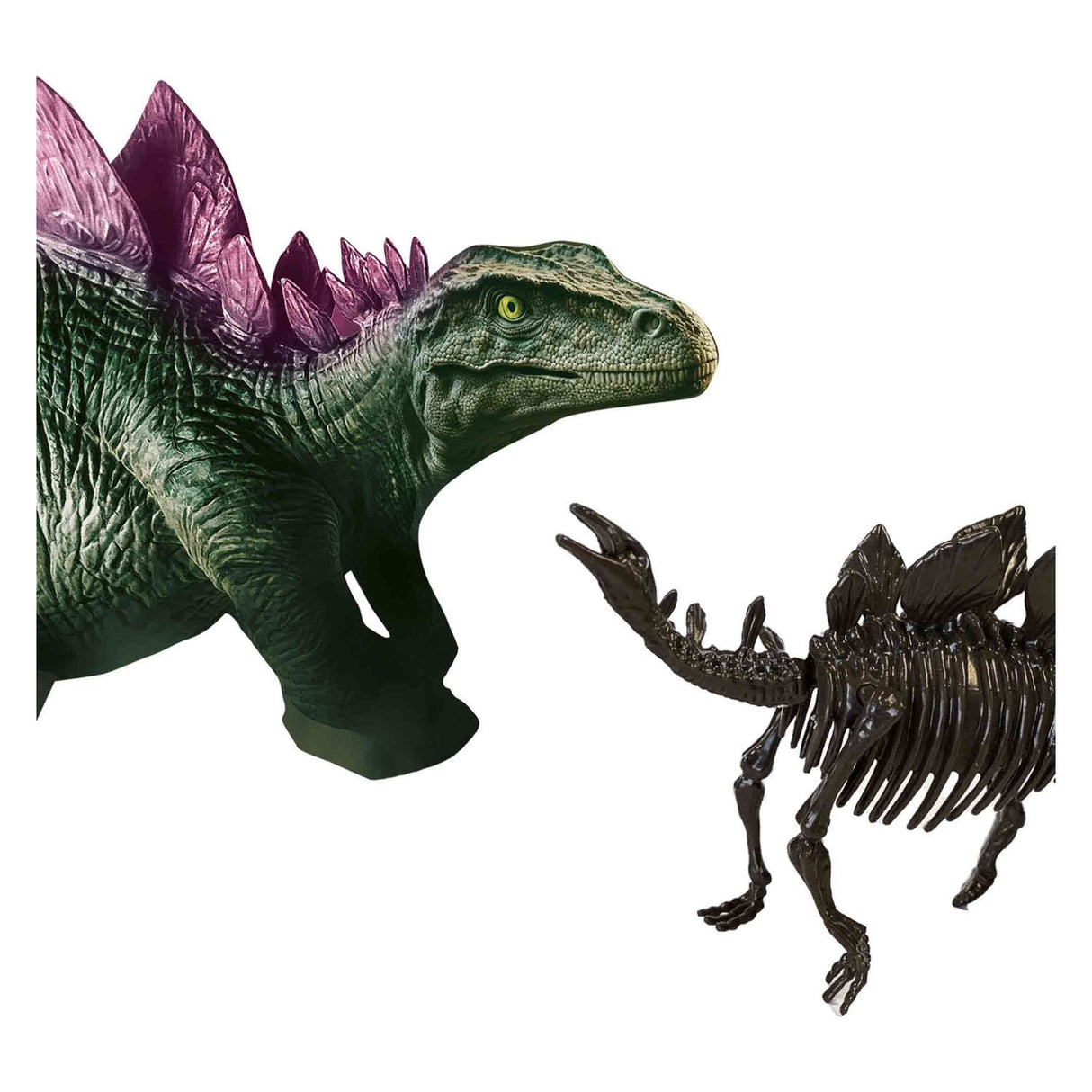 Ses explore dino en skelet opgraven 2in1- stegosaurus