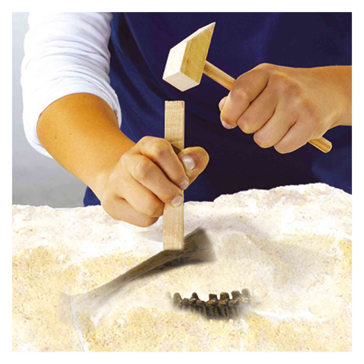 Ses explore dino en skelet opgraven 2in1- stegosaurus