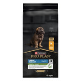 Pro plan Plan puppy large breed robuust kip rijst