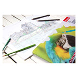 Bruynzeel parrot 45 kleurpotloden