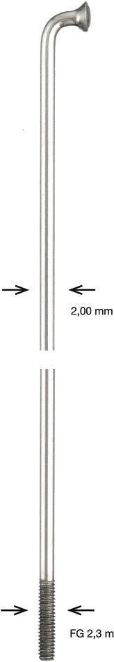 Alpina spaak spoke zinc 2x300 mm