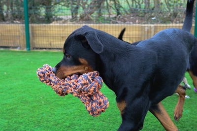 Happy pet nuts for knots extreme bot grijs oranje