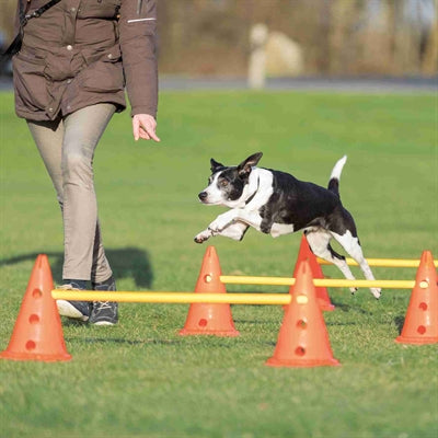 Trixie Hondenactiviteitenset