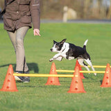 Trixie Hondenactiviteitenset