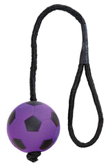 Trixie Sportbal aan touw schuimrubber drijvend assorti