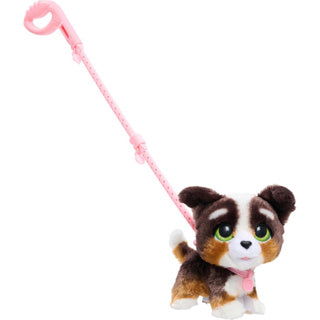 Spectron furreal walk a lots bernedoodle