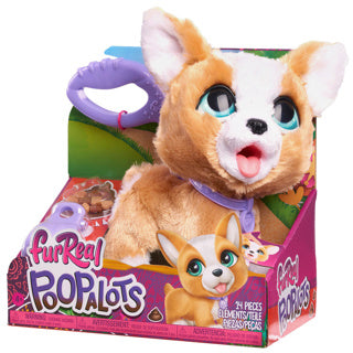 Spectron furreal poop a lots corgi
