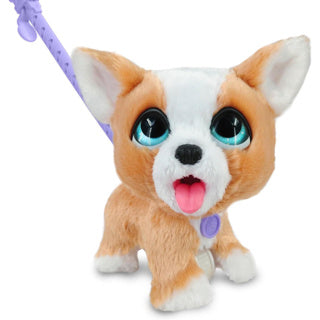 Spectron furreal poop a lots corgi