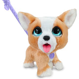 Spectron furreal poop a lots corgi