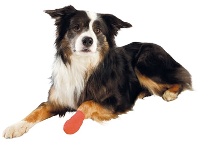 Trixie Verband met assortiment bitterstoffen