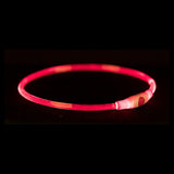 Trixie Halsband usb-zaklamp lichtgevend oplaadbaar tpu rood