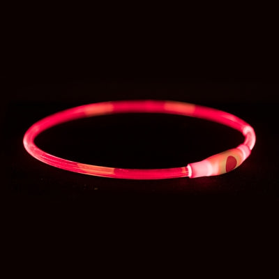 Trixie Halsband usb-zaklamp lichtgevend oplaadbaar tpu rood
