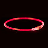 Trixie Halsband usb-zaklamp lichtgevend oplaadbaar tpu rood