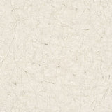 Noordwand behang vintage deluxe stucco crackle grijs en wit